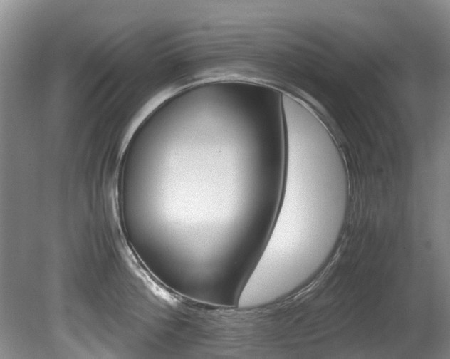 X0000081570812200701151024