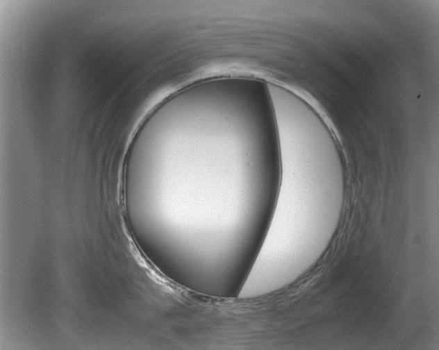 X0000081570815200701151024
