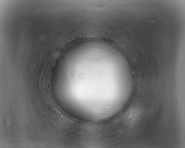 X0000081570817200701151023