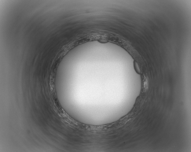 X0000081570819200701151023