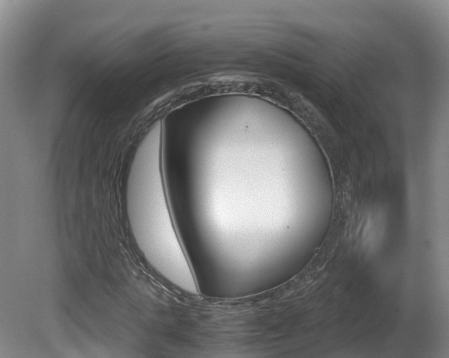 X0000081570821200701151023