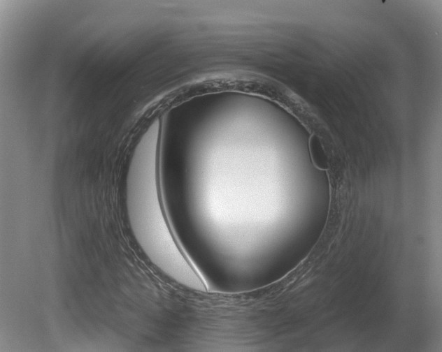 X0000081570822200701151023