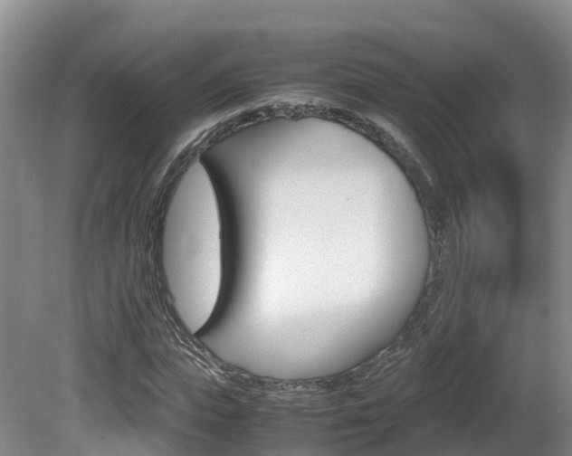 X0000081570823200701151023