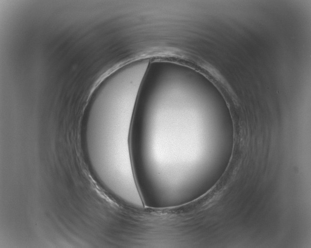 X0000081570834200701151023