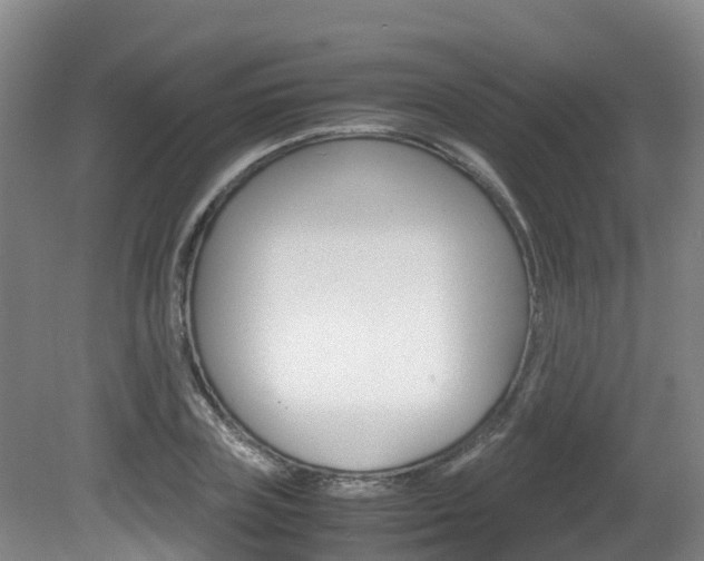 X0000081570835200701151023