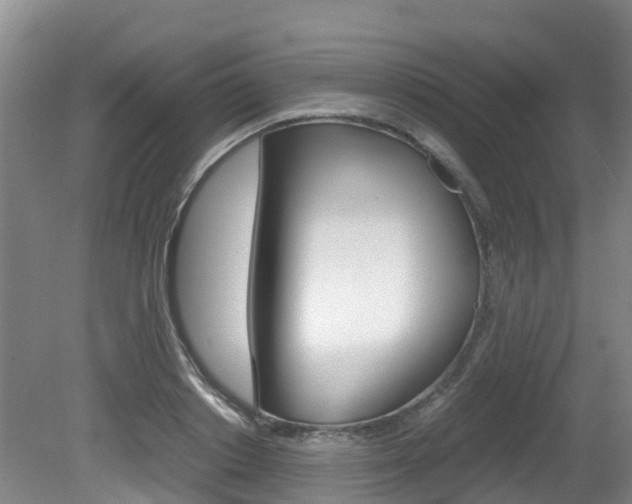 X0000081570842200701151024