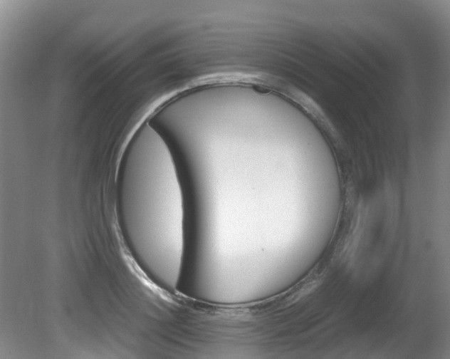 X0000081570844200701151024