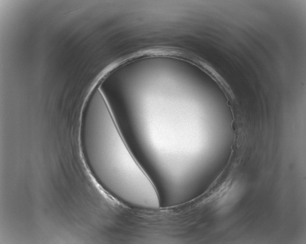 X0000081570853200701151024