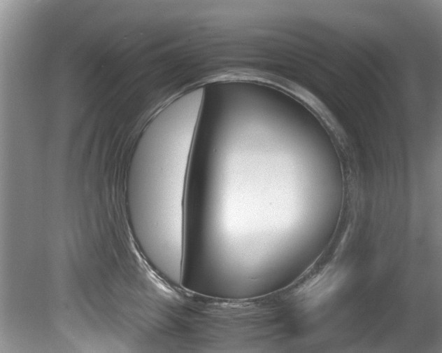 X0000081570857200701151024