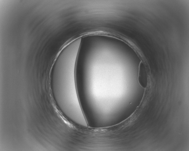 X0000081570858200701151024