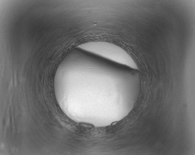 X0000081570865200701151023