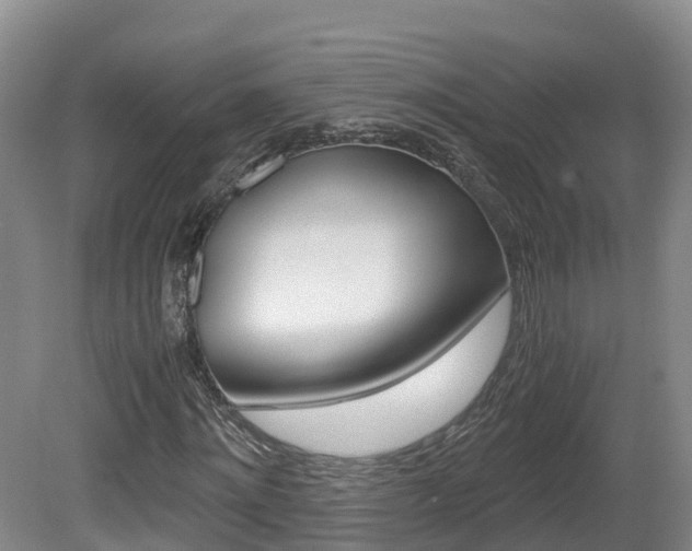 X0000081570868200701151023