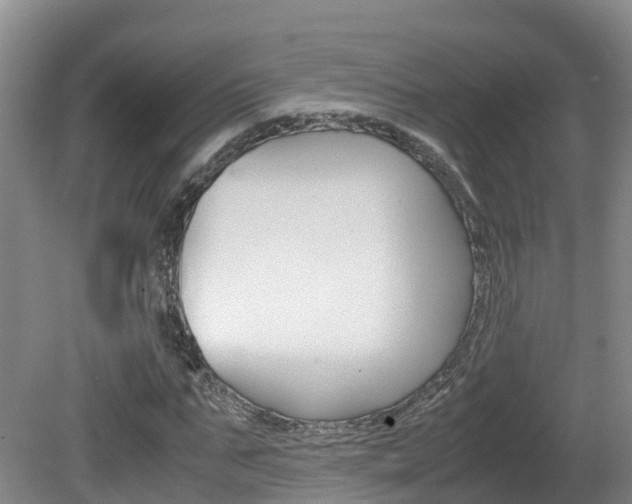 X0000081570871200701151023