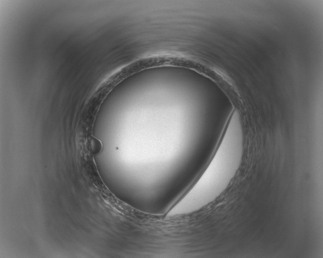 X0000081570872200701151023