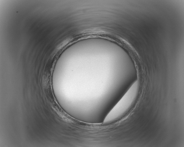 X0000081570873200701151023