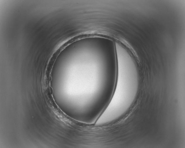 X0000081570876200701151023