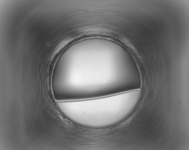 X0000081570877200701151023