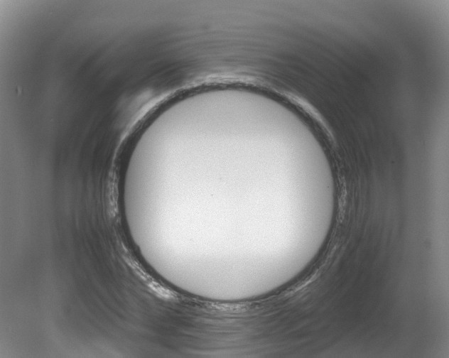X0000081570878200701151023