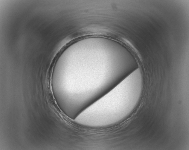 X0000081570883200701151023