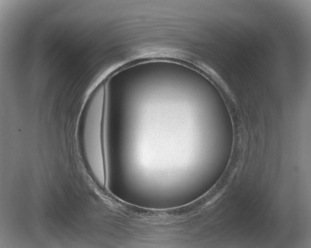 X0000081570885200701151023