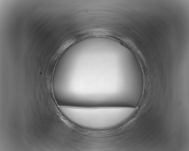 X0000081570889200701151023