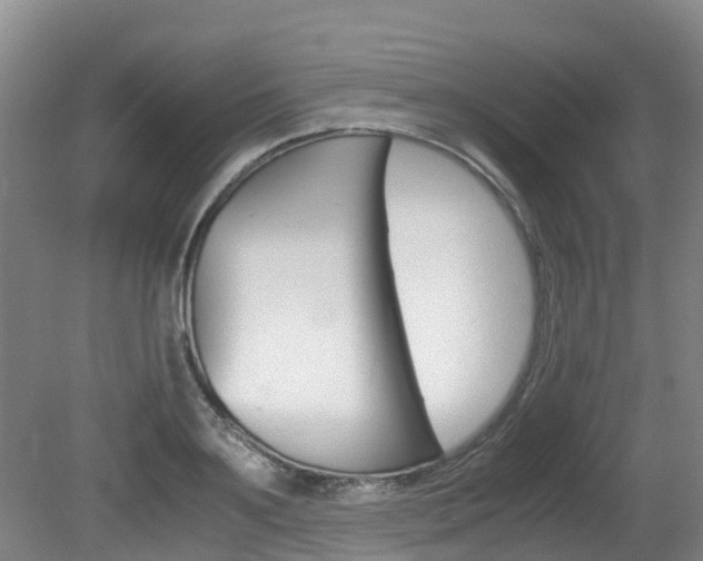 X0000081570891200701151023