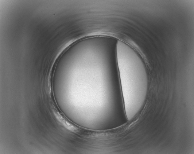 X0000081570892200701151023