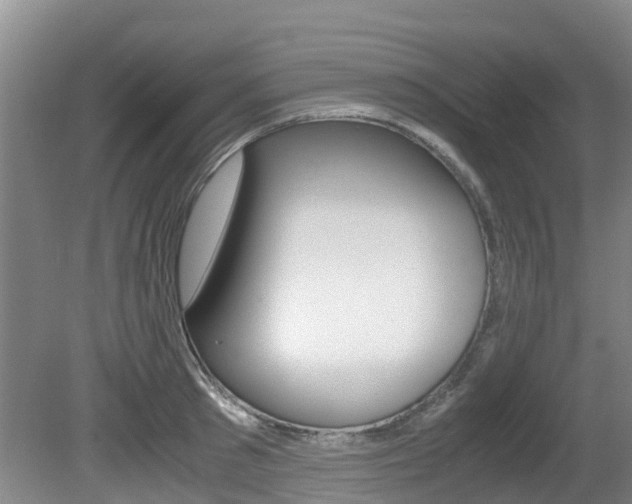 X0000081570897200701151023
