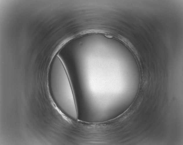 X0000081570898200701151023