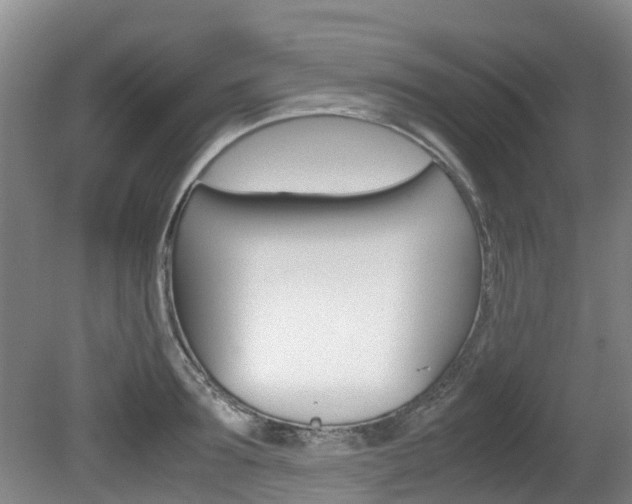 X0000081570899200701151023