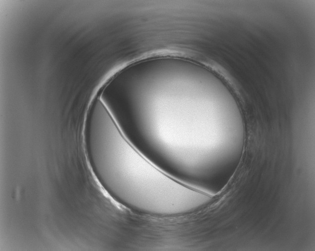 X0000081570902200701151022
