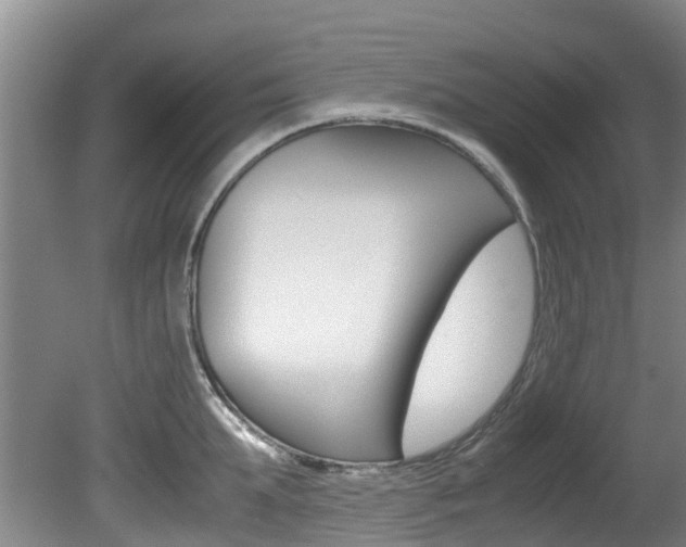 X0000081570903200701151022