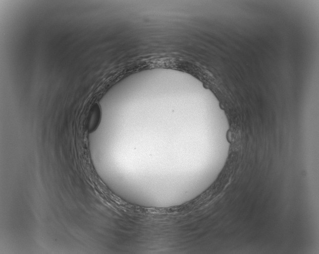 X0000081570913200701151021