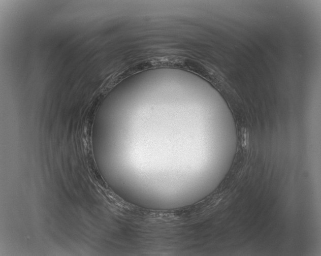 X0000081570915200701151022
