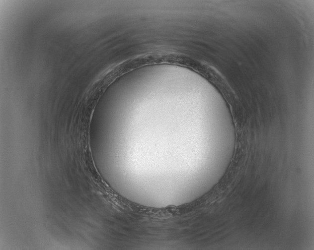 X0000081570919200701151022