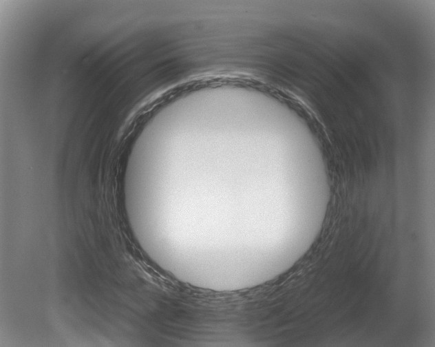 X0000081570920200701151022