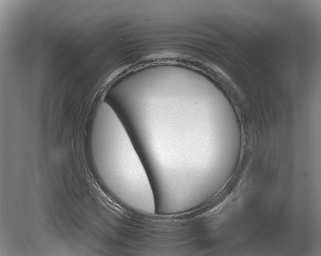 X0000081570921200701151022