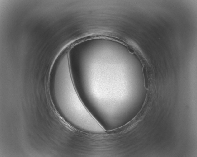 X0000081570924200701151022