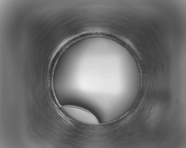 X0000081570927200701151022