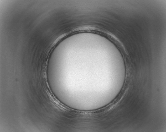 X0000081570929200701151022