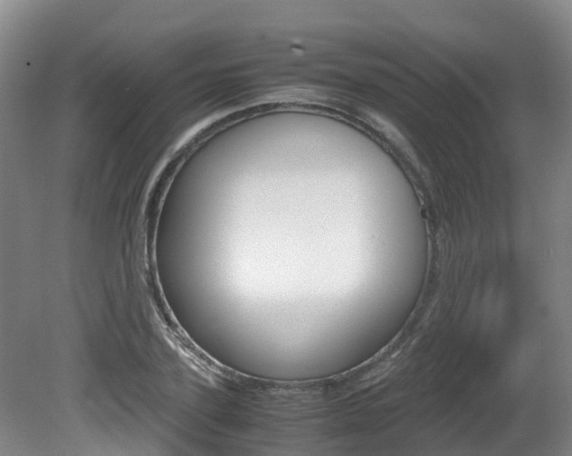 X0000081570931200701151022