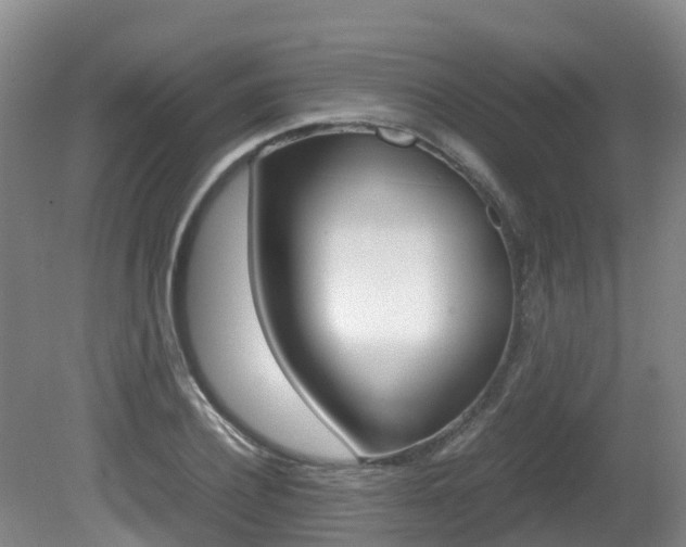 X0000081570932200701151022
