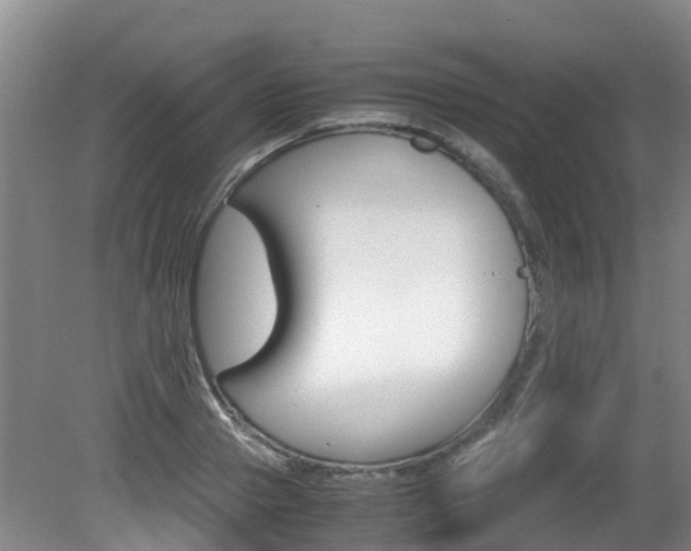 X0000081570937200701151022