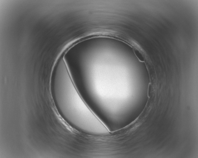 X0000081570940200701151022