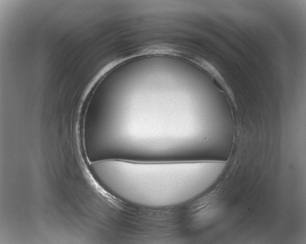 X0000081570947200701151022
