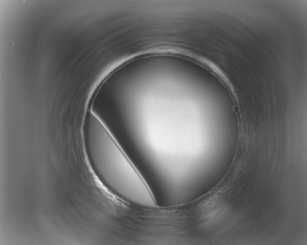 X0000081570951200701151022