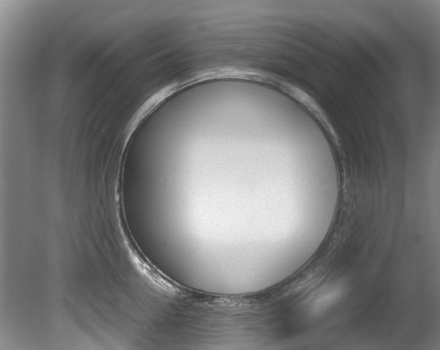 X0000081570954200701151022