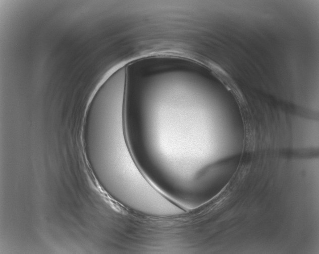 X0000081570956200701151022