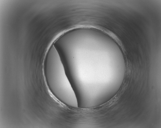 X0000081570958200701151022