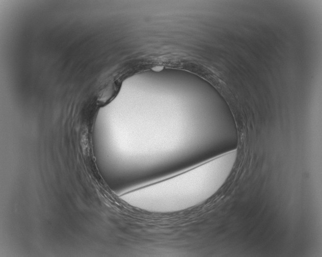 X0000081570963200701151021